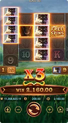 ayo999 · Buffalo Win